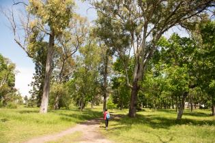 Parque Tomkinson Parque Tomkinson