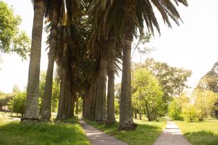 Parque Tomkinson Parque Tomkinson