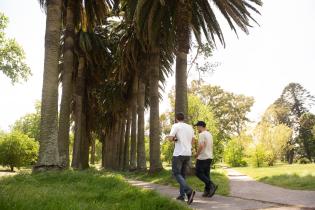 Parque Tomkinson Parque Tomkinson