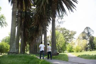 Parque Tomkinson