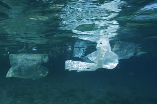 The Plastic Garbage Project