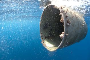 Out to Sea? The Plastic Garbage Project