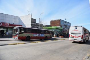 Avda. Agraciada previo a los trabajos de señalización con pintura de los carriles Solo Bus