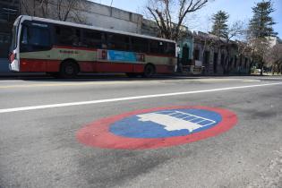 Pintura de carril Solo Bus en Av. Agraciada desde Pablo Zufriategui hasta Av. Joaquín Suárez