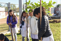 Plantación de árboles en Escuela No.319 República Popular de China