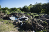 Intervención de limpieza en Arroyo Pantanoso