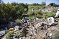 Intervención de limpieza en Arroyo Pantanoso