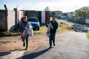 Castraciones en Malvín Norte en el marco del Plan ABC