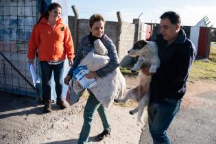 Castraciones en Malvín Norte en el marco del Plan ABC