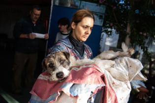 Castraciones en Malvín Norte en el marco del Plan ABC