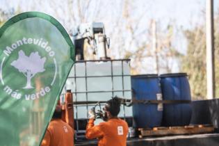 Distribución de agua en refugio de animales