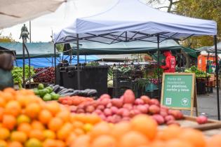 Instalación de puntos de recolección de plástico, cartón y latas en ferias de Montevideo