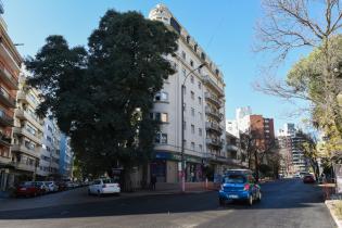 Habilitación del primer tramo de obra en la avenida 21 de setiembre Habilitación del primer tramo de obra en la avenida 21 de setiembre
