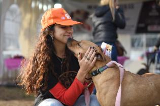 Jornada de adopción de animales de compañía en el Parque Rodó