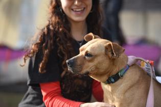 Jornada de adopción de animales de compañía en el Parque Rodó