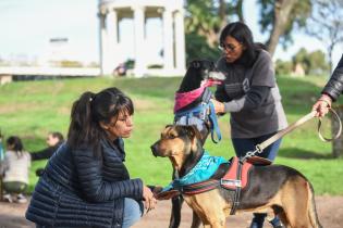 Jornada de adopción de animales de compañía en el Parque Rodó Jornada de adopción de animales de compañía en el Parque Rodó