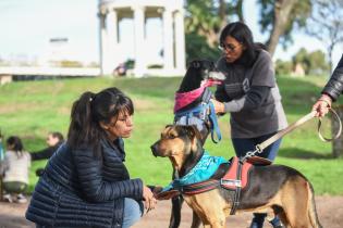 Jornada de adopción de animales de compañía en el Parque Rodó