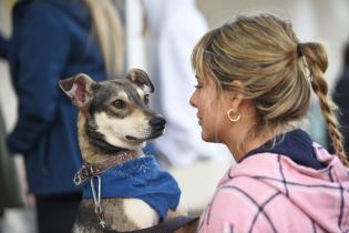 Jornada de adopción de animales de compañía en el Parque Rodó