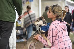 Jornada de adopción de animales de compañía en el Parque Rodó