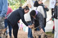 Jornada de adopción de animales de compañía en el Parque Rodó
