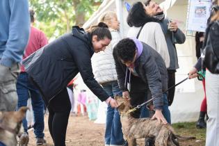 Jornada de adopción de animales de compañía en el Parque Rodó Jornada de adopción de animales de compañía en el Parque Rodó