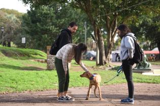 Jornada de adopción de animales de compañía en el Parque Rodó