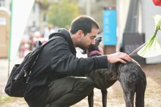 Jornada de adopción de animales de compañía en el Parque Rodó