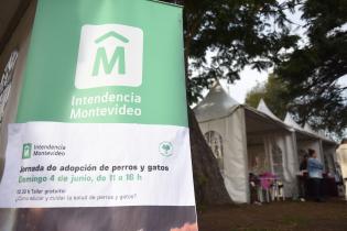Jornada de adopción de animales de compañía en el Parque Rodó Jornada de adopción de animales de compañía en el Parque Rodó