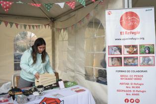 Jornada de adopción de animales de compañía en el Parque Rodó