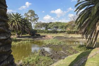 Limpieza del lago Cachón del Parque Rodó