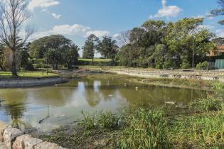 Limpieza del lago Cachón del Parque Rodó