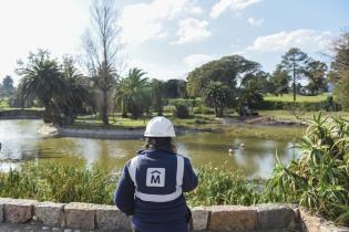 Limpieza del lago Cachón del Parque Rodó Limpieza del lago Cachón del Parque Rodó
