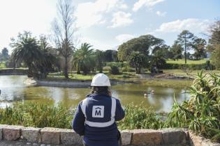 Limpieza del lago Cachón del Parque Rodó