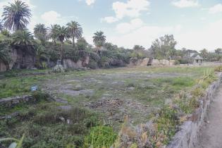 Limpieza del lago Cachón del Parque Rodó Limpieza del lago Cachón del Parque Rodó