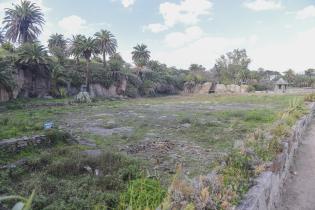 Limpieza del lago Cachón del Parque Rodó