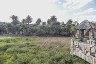 Limpieza del lago Cachón del Parque Rodó Limpieza del lago Cachón del Parque Rodó