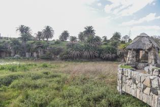 Limpieza del lago Cachón del Parque Rodó