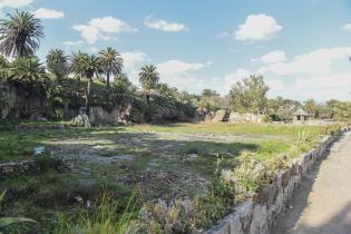 Limpieza del lago Cachón del Parque Rodó