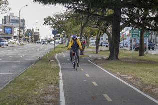 Bicicircuito Montevideo. Bicisenda Av. Italia Bicicircuito Montevideo. Bicisenda Av. Italia