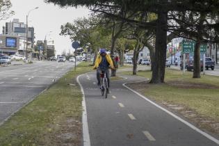 Bicicircuito Montevideo. Bicisenda Av. Italia