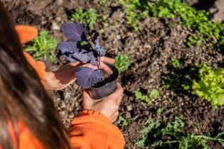 Cooperativas integrantes de la estrategia ambiental Montevideo Más Verde 