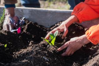 Cooperativas integrantes de la estrategia ambiental Montevideo Más Verde 