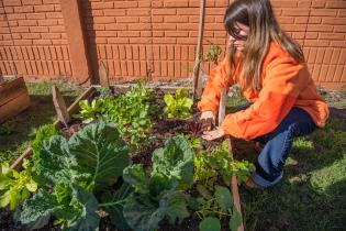 Cooperativas integrantes de la estrategia ambiental Montevideo Más Verde 