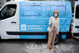Móvil de hisopados Móvil de hisopados