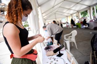 Feria Mypes Feria Mypes