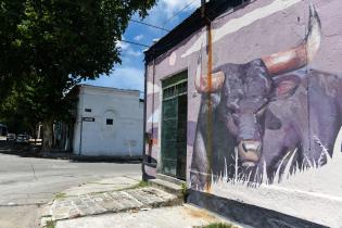 Murales en  barrio Unión y Villa Española  