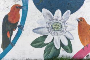 Murales en barrio Unión y Villa Española Murales en barrio Unión y Villa Española