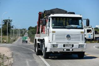 Camino Felipe Cardoso