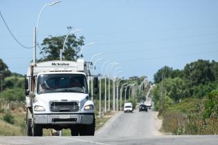 Camino Felipe Cardoso