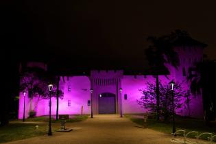 Iluminación de espacios, monumentos y edificios por el Día Internacional de la Mujer Iluminación de espacios, monumentos y edificios por el Día Internacional de la Mujer
